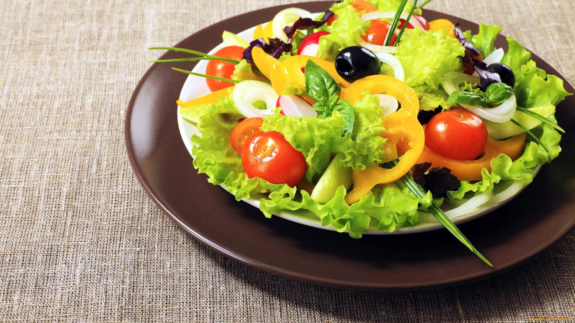 еда, салаты, , закуски, лук, маслины, перец, салат, базилик, помидоры