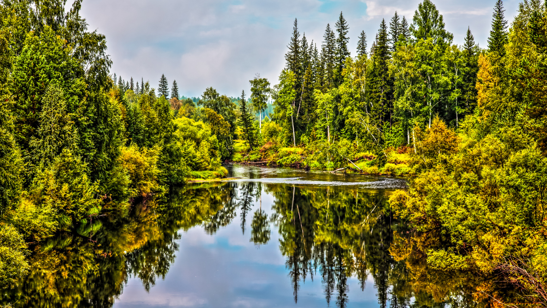 природа, реки, озера, река, лес