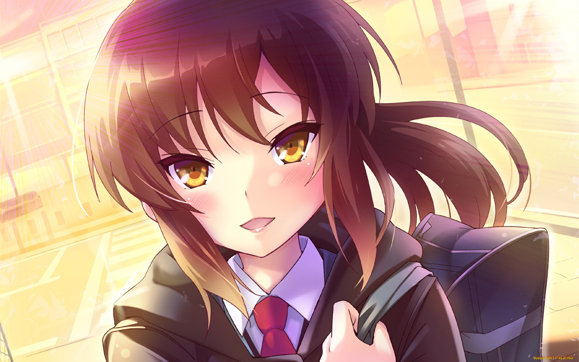 sakurasou, no, pet, na, kanojo, аниме, девушка, взгляд, фон