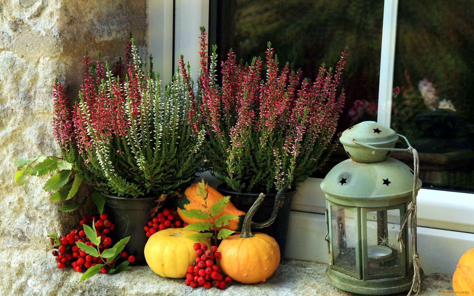 еда, натюрморт, тыква, рябина, вереск, фонарь