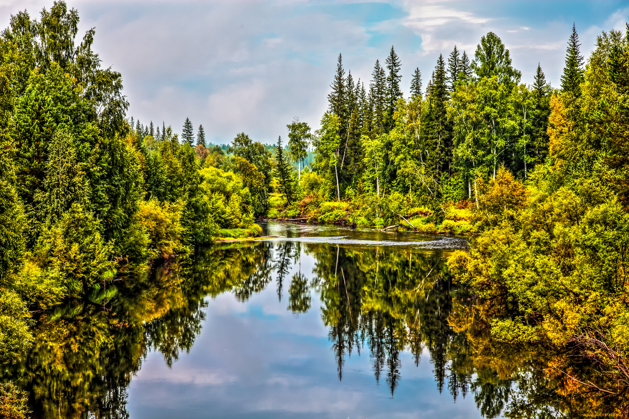 природа, реки, озера, река, лес