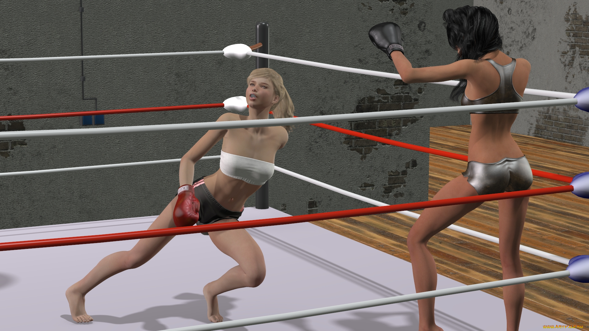 3д, графика, спорт, , sport, фон, взгляд, девушки, бокс, ринг