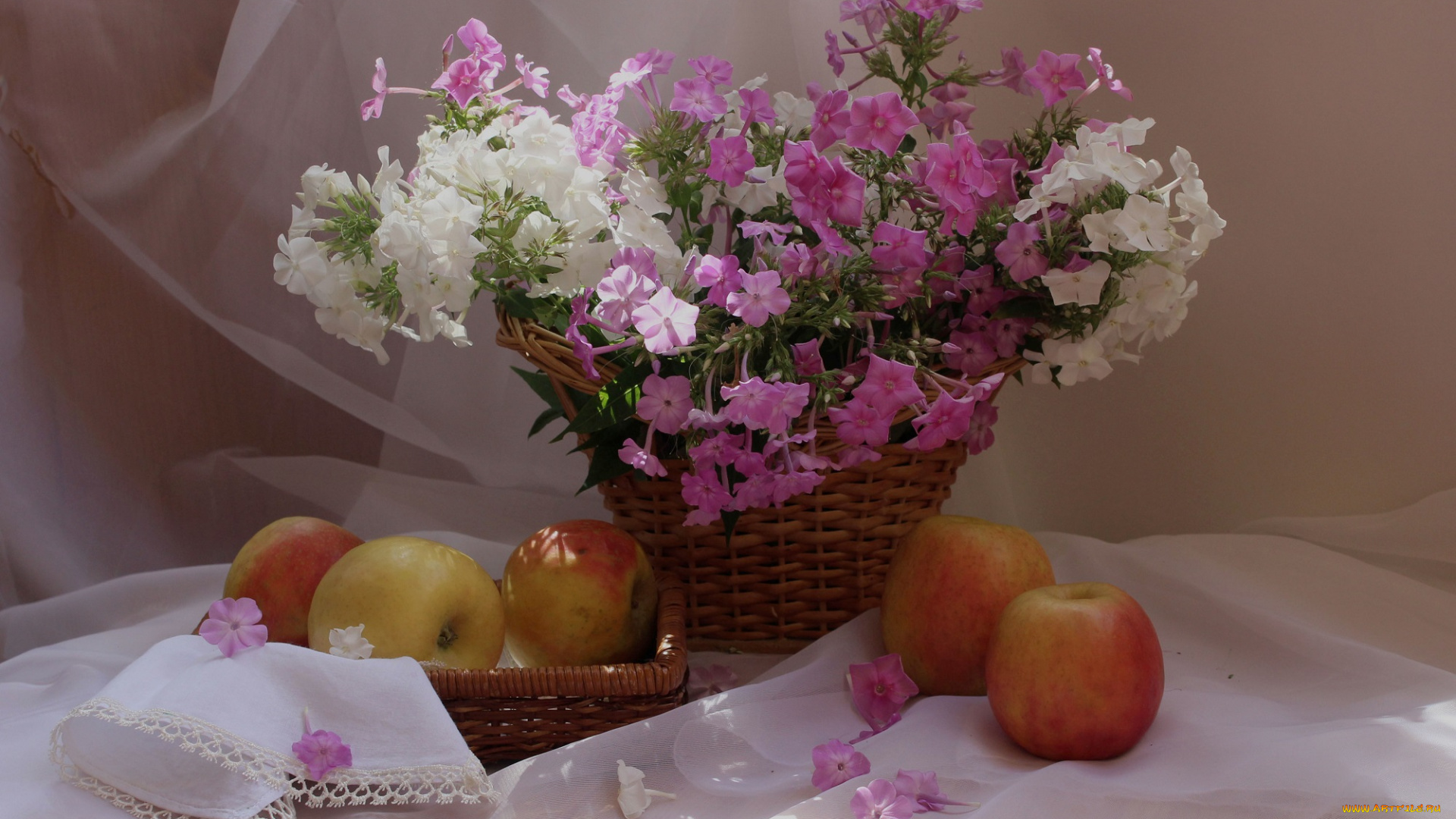 еда, Яблоки, цветы, яблоки, флоксы, натюрморт