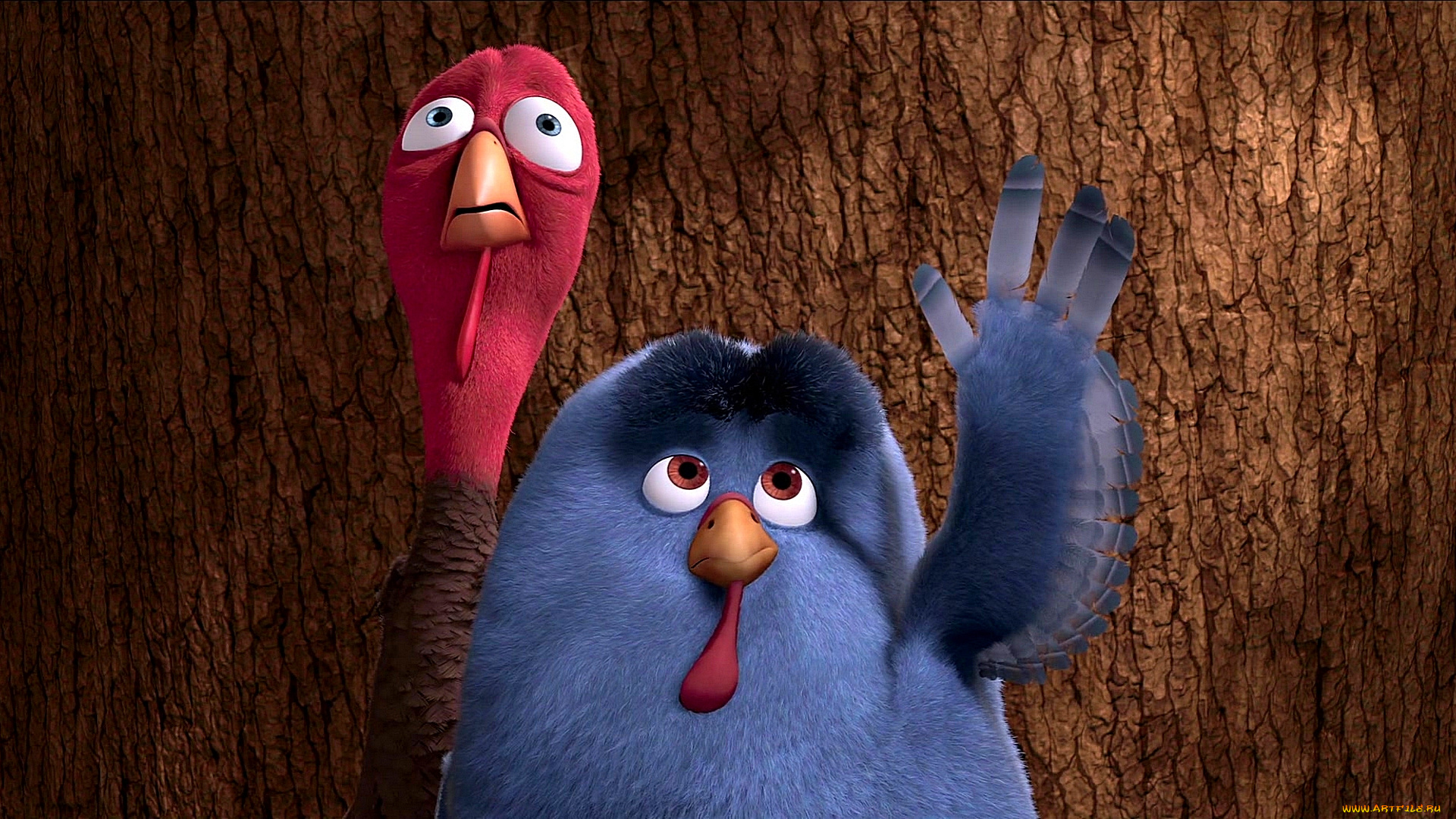 мультфильмы, free, birds, двое, птица, индюк