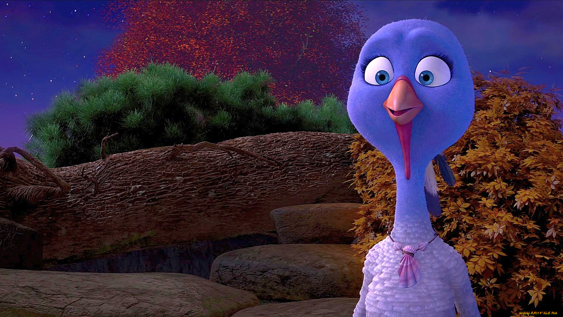 мультфильмы, free, birds, индюк, камни, деревья, птица, растения