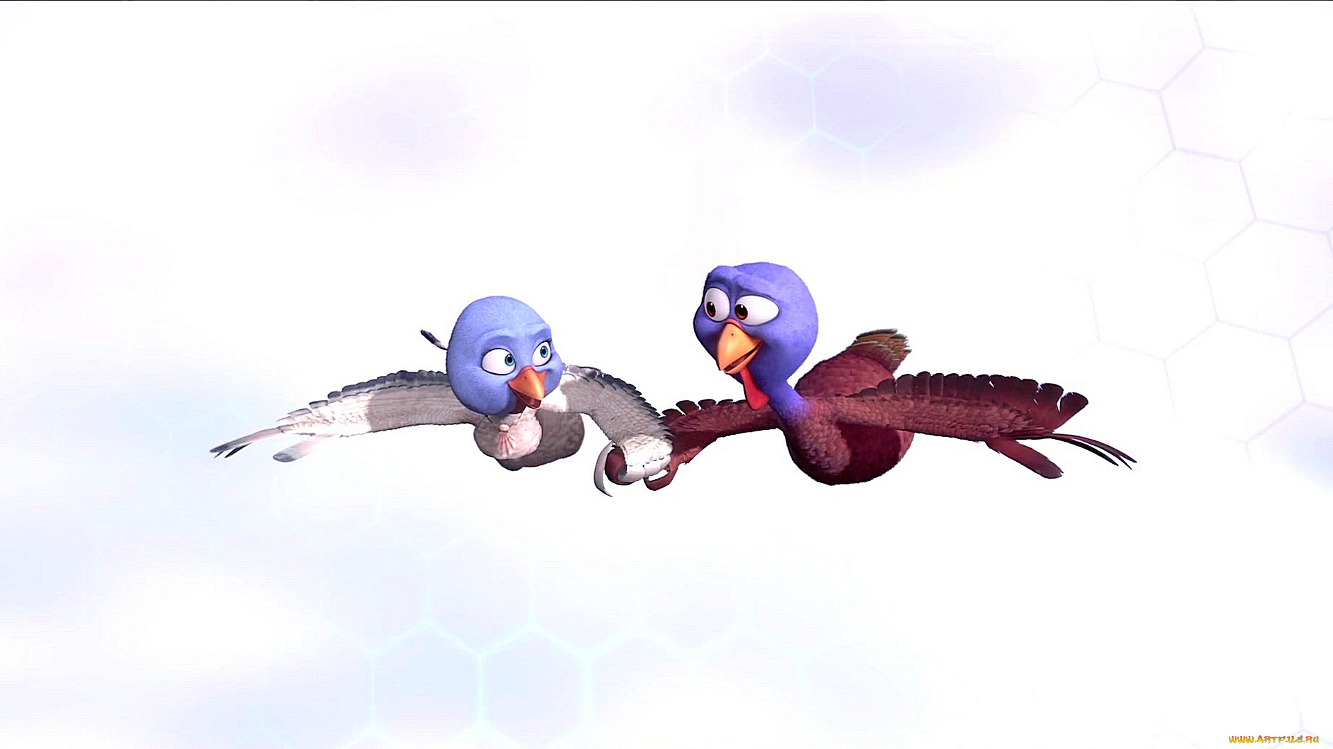мультфильмы, free, birds, полет, двое, индюк, птица