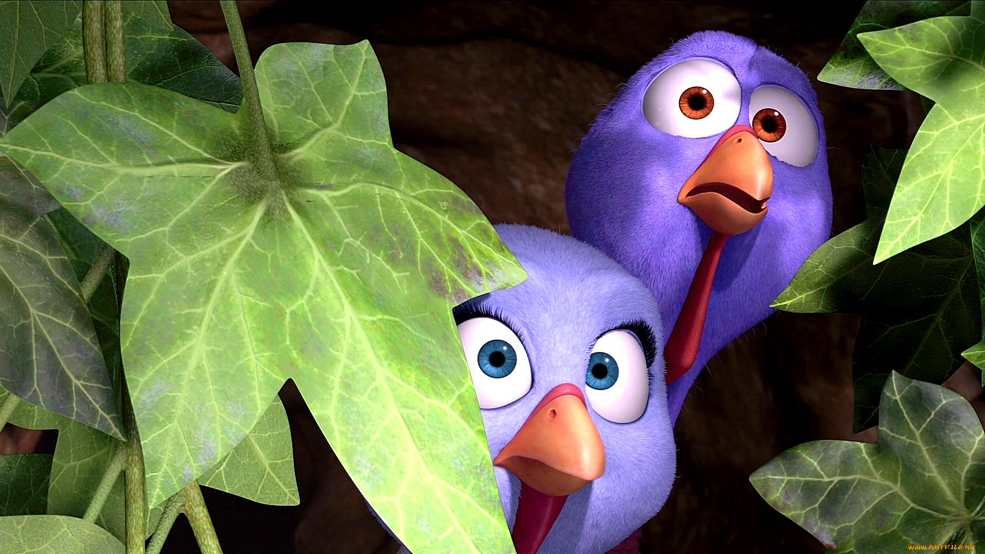 мультфильмы, free, birds, птица, листья, двое, индюк