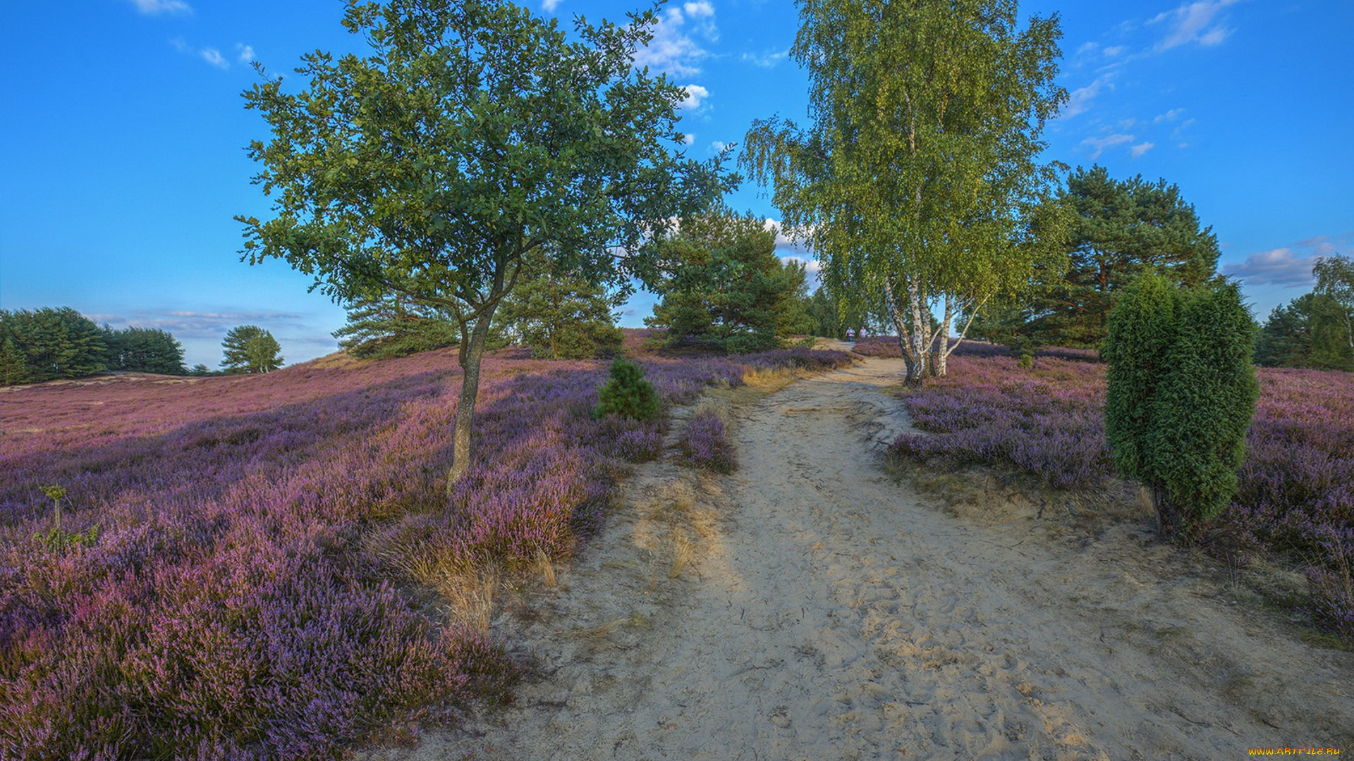 природа, дороги, простор