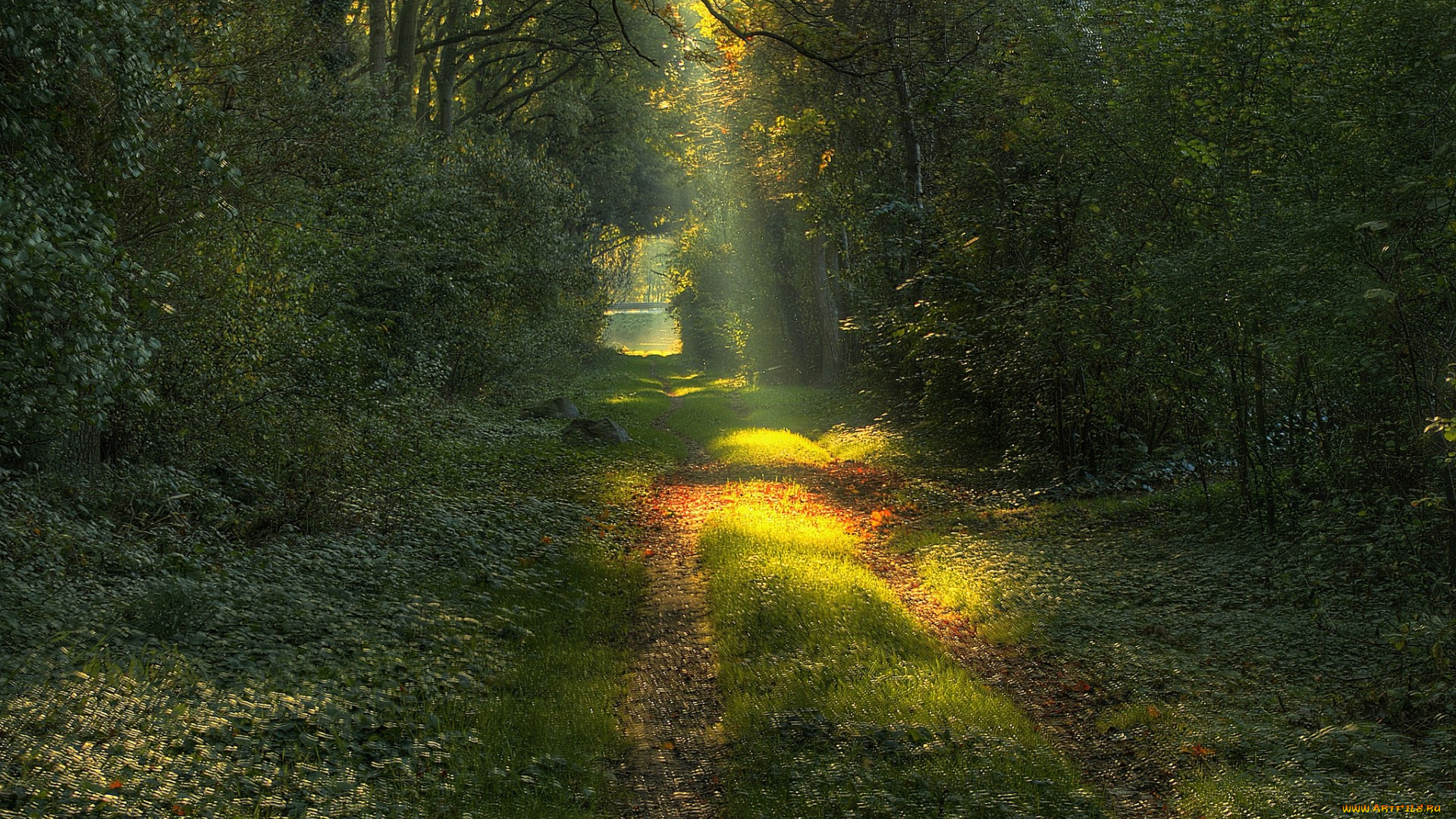 природа, дороги, простор