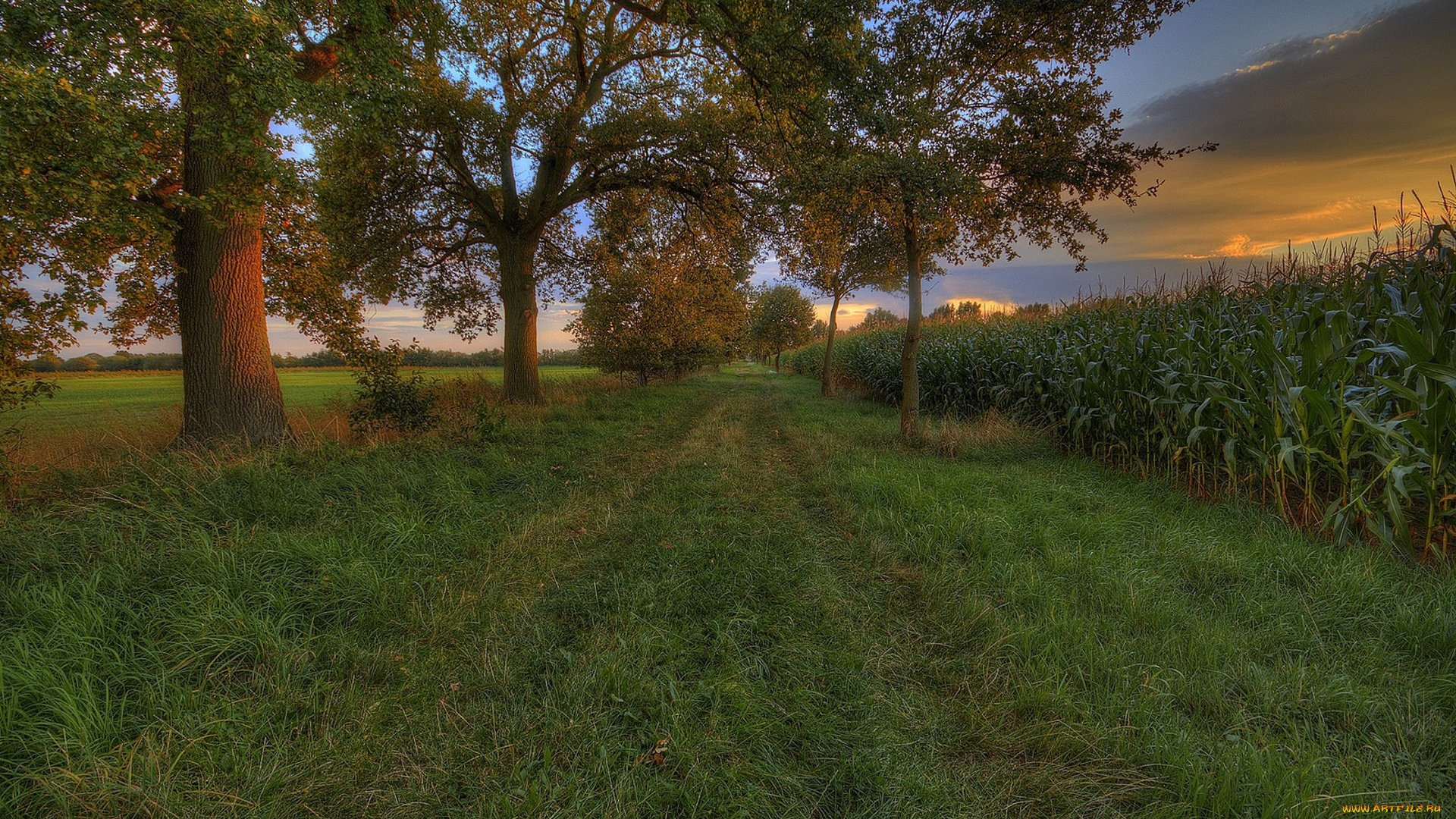 природа, дороги, простор