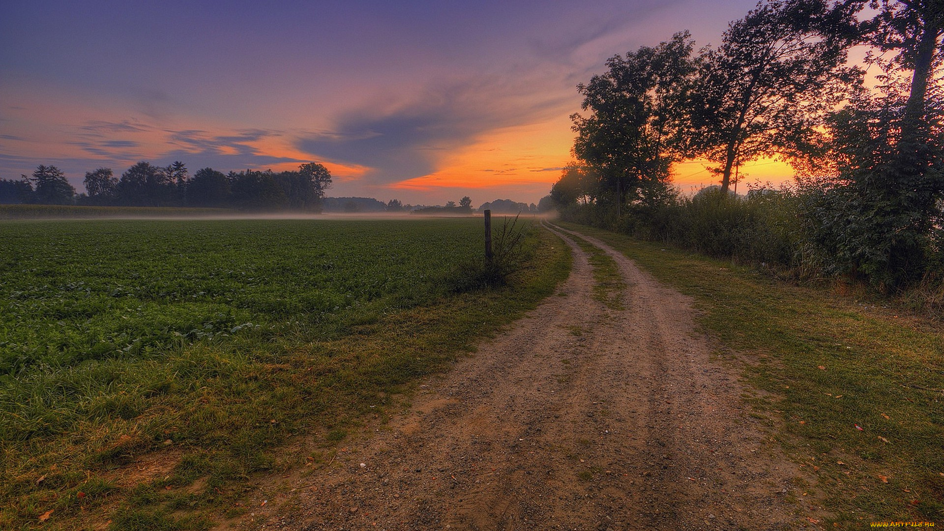 природа, дороги, простор