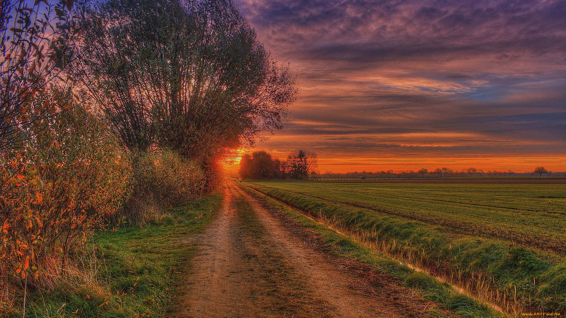 природа, дороги, простор