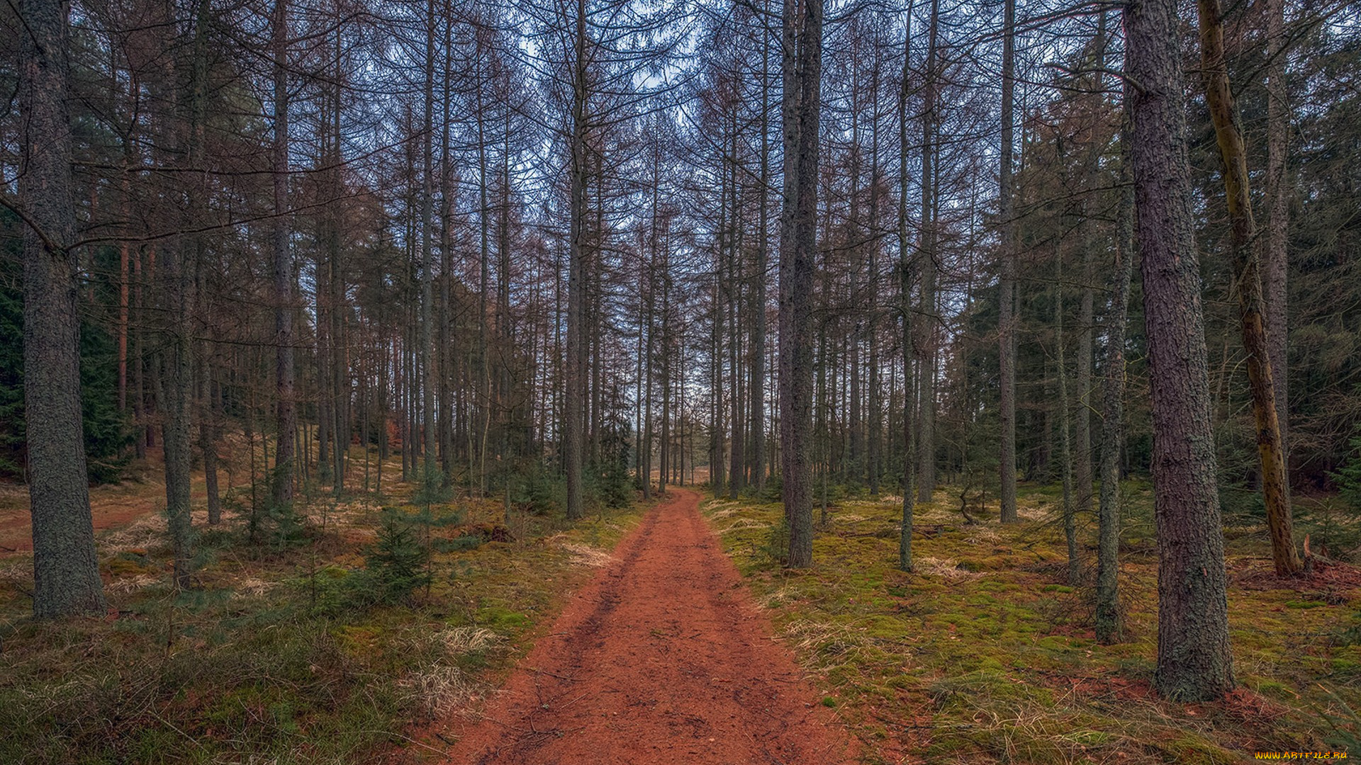 природа, дороги, простор