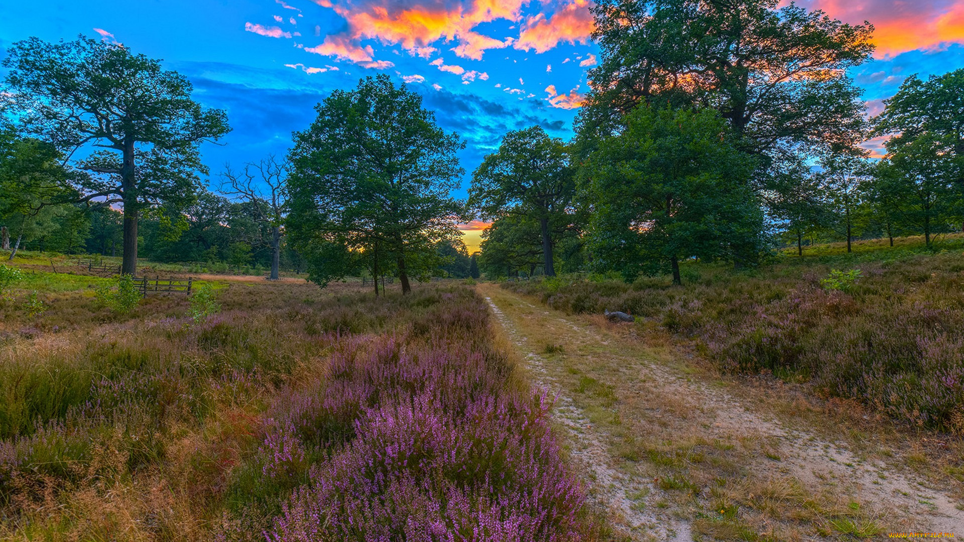 природа, дороги, простор