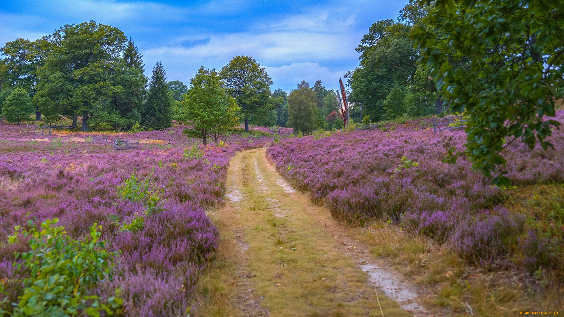 природа, дороги, простор