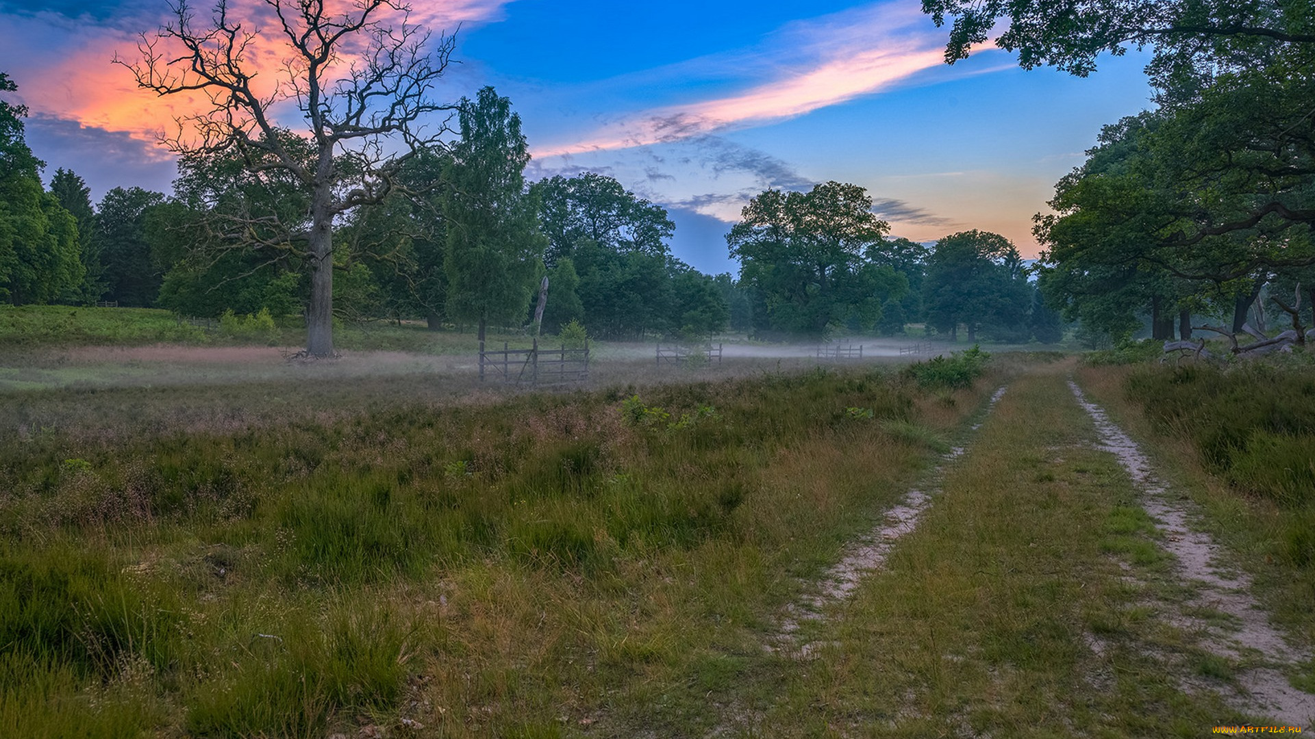 природа, дороги, простор