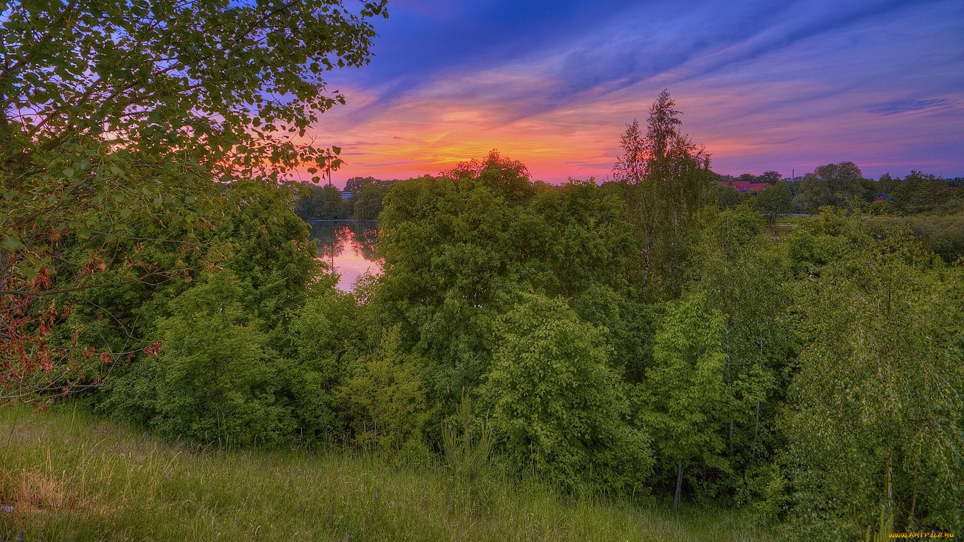 природа, пейзажи, простор