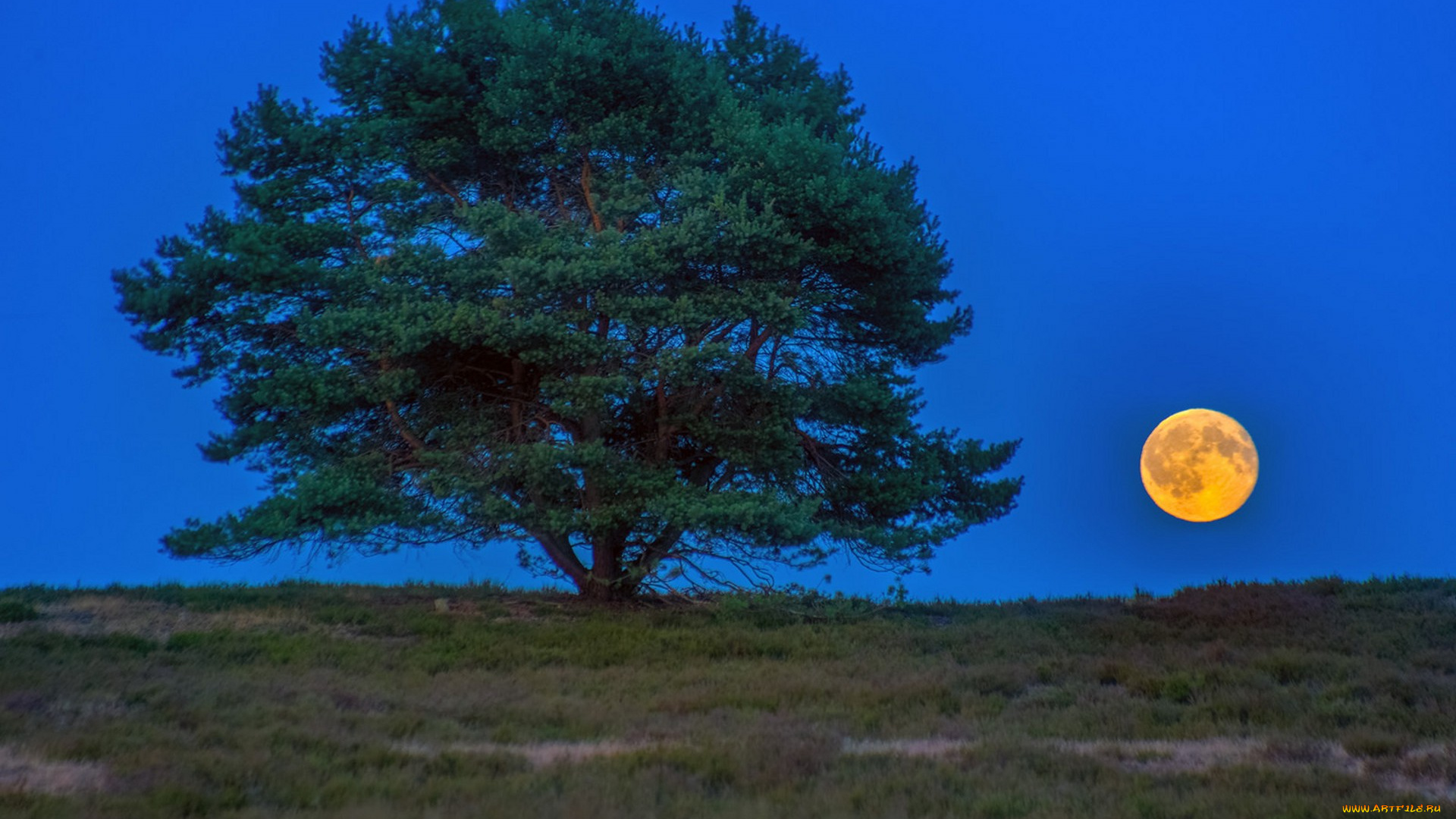 природа, пейзажи, простор