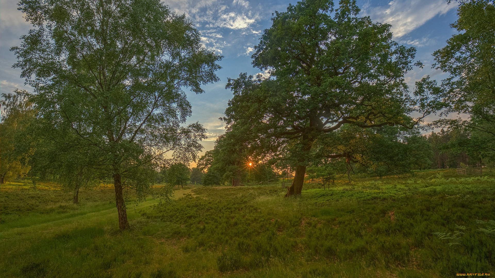 природа, пейзажи, простор