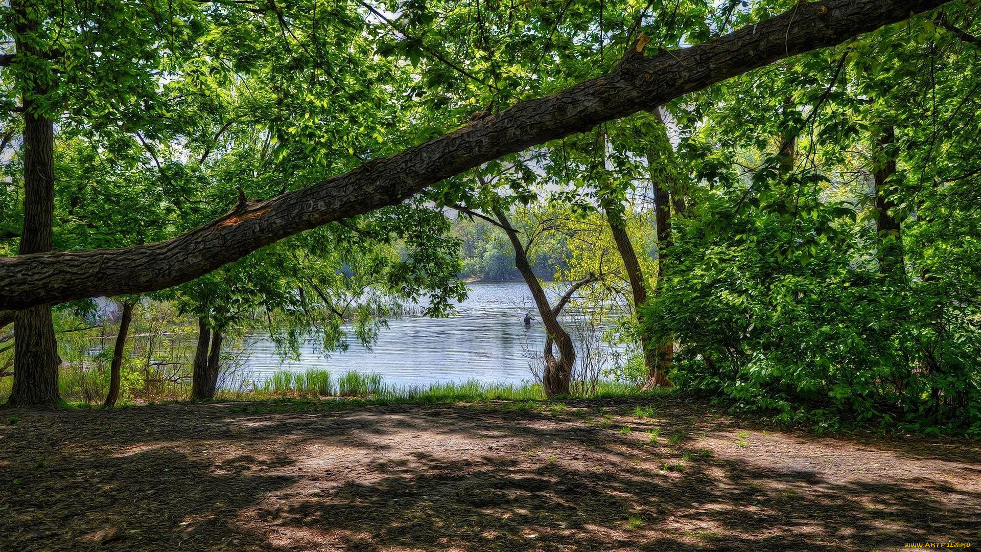 природа, реки, озера, днепр, киев, заводь, закат, украина