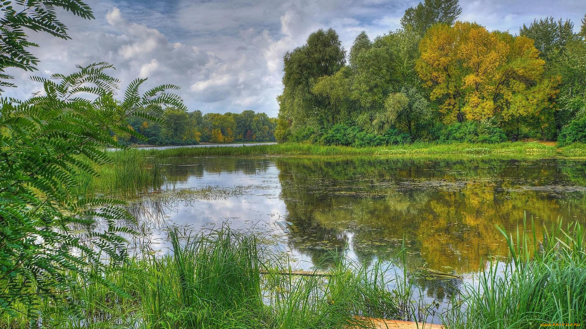 природа, реки, озера, днепр, заводь, закат, украина, киев