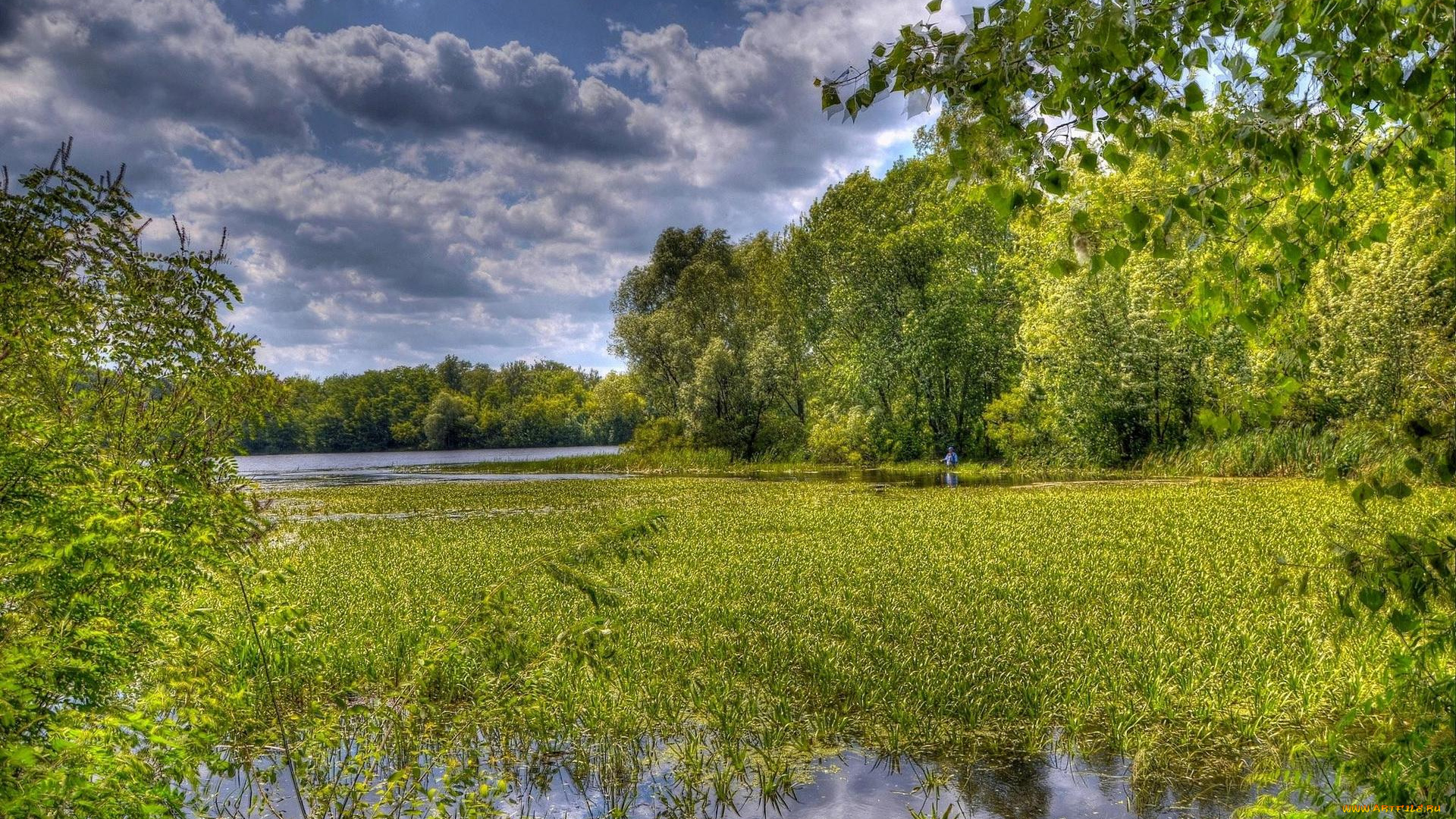 природа, реки, озера, днепр, заводь, закат, украина, киев