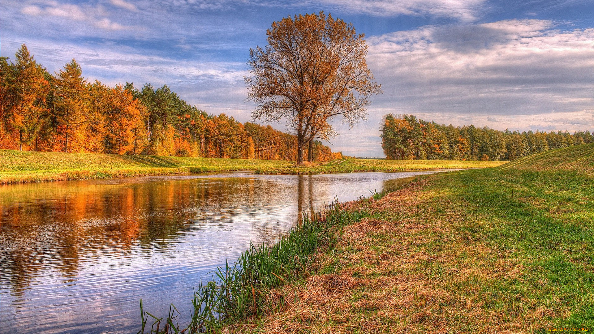 природа, реки, озера, простор