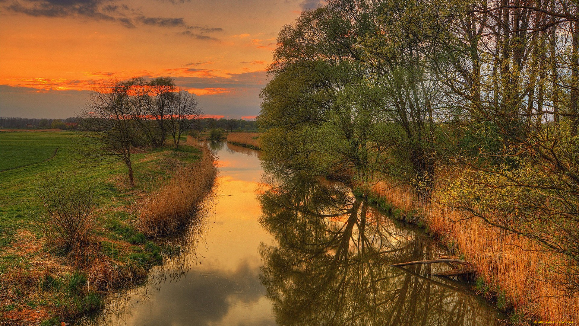 природа, реки, озера, простор