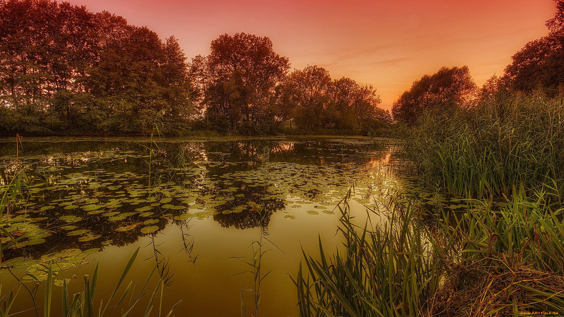 природа, реки, озера, простор