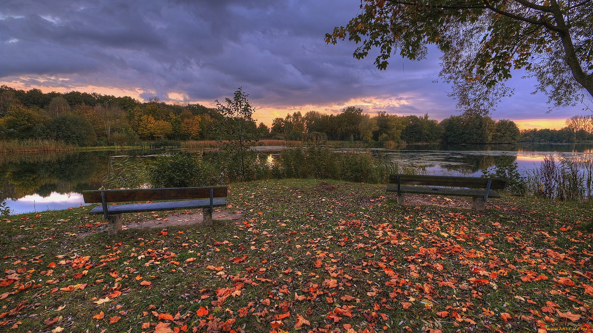 природа, реки, озера, простор