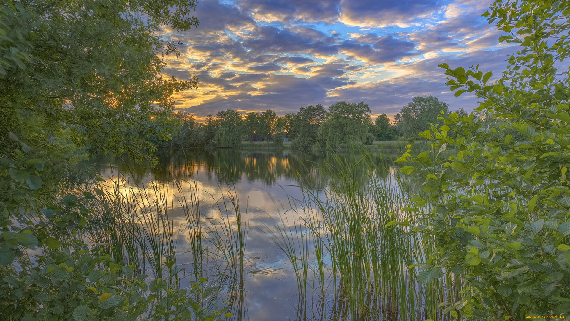 природа, реки, озера, простор