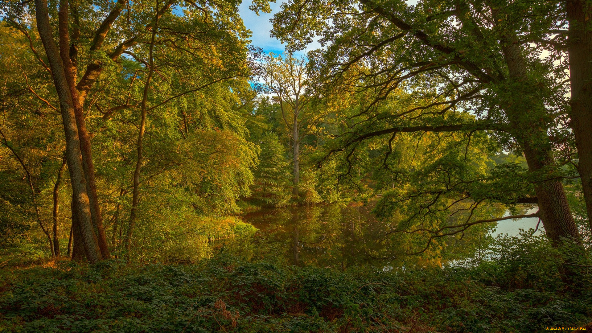 природа, реки, озера, простор