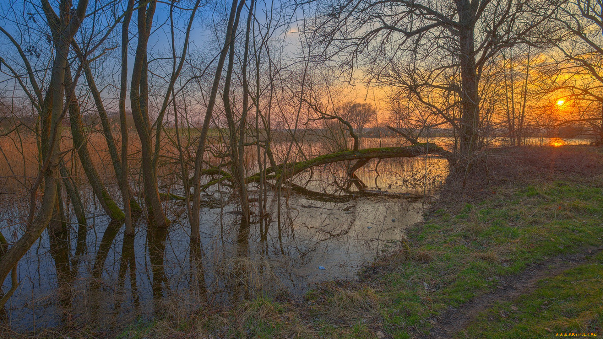 природа, реки, озера, простор