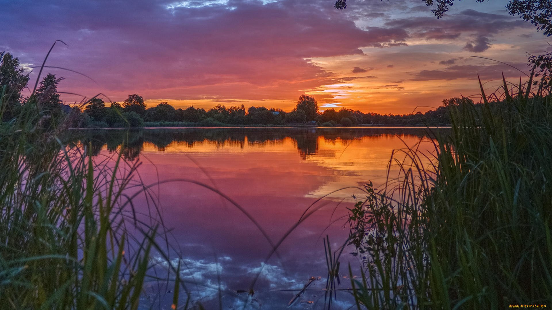 природа, реки, озера, простор