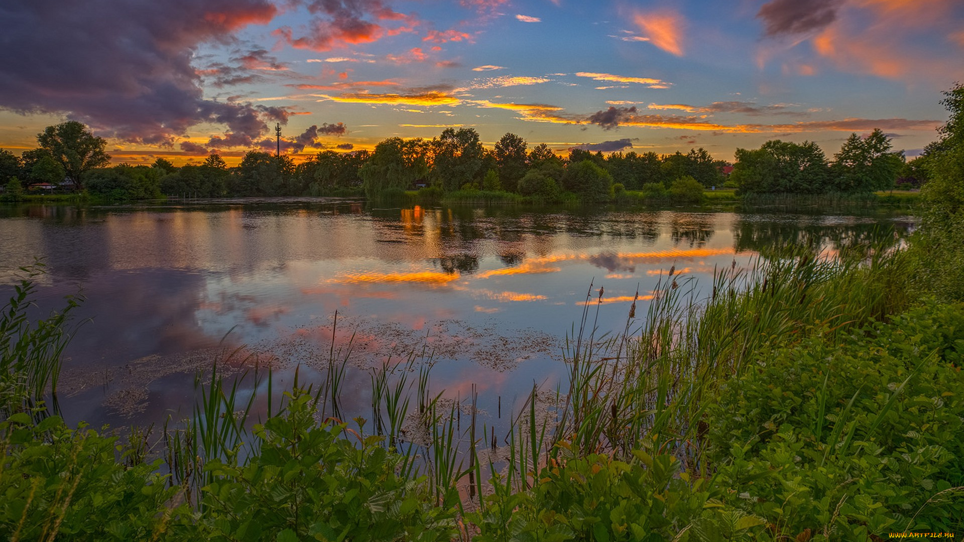 природа, реки, озера, простор
