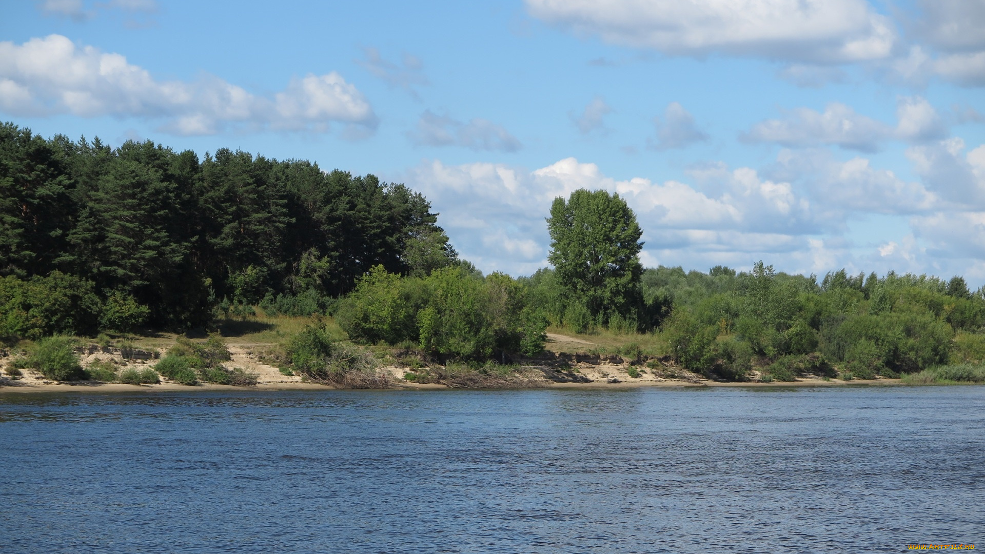 природа, реки, озера, река, деревья
