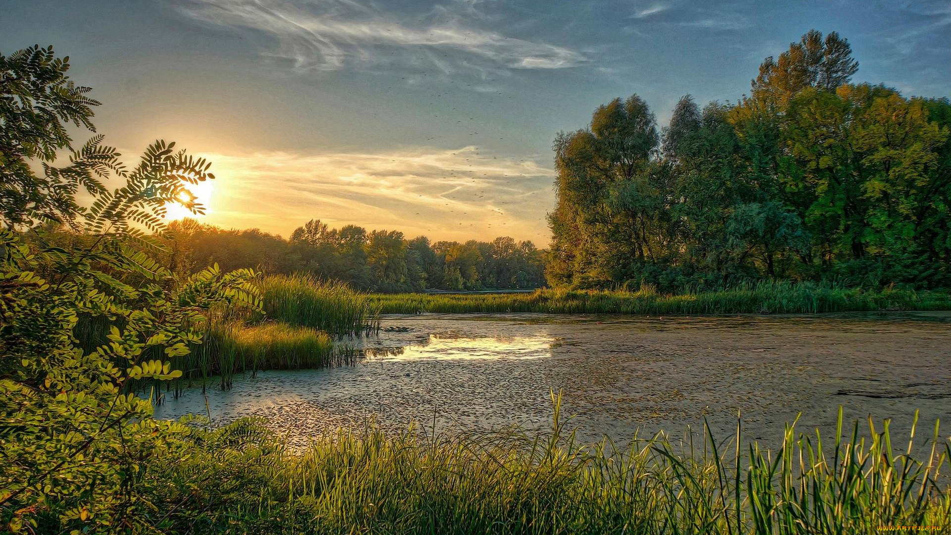 природа, реки, озера, украина, киев, закат, днепр, заводь