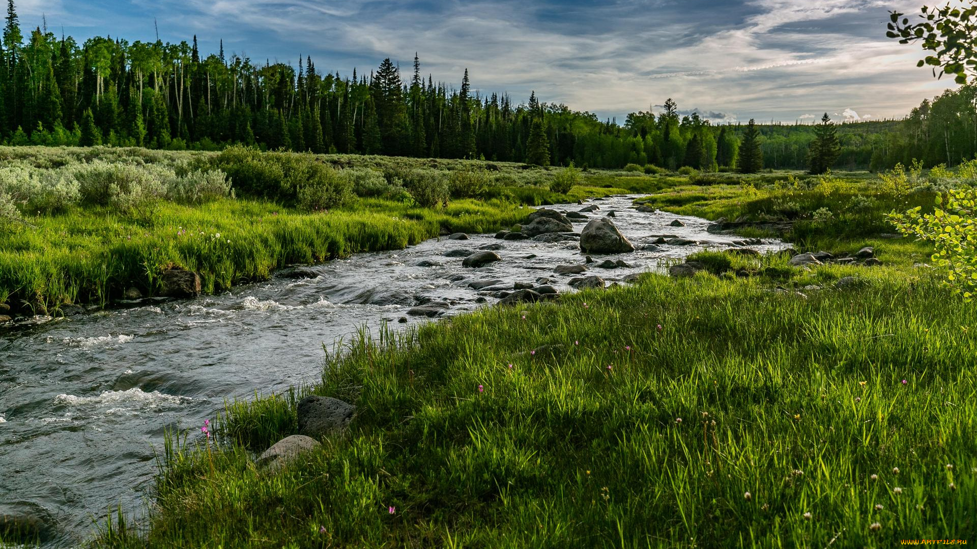 природа, реки, озера, закат, река, камни, поле, лес