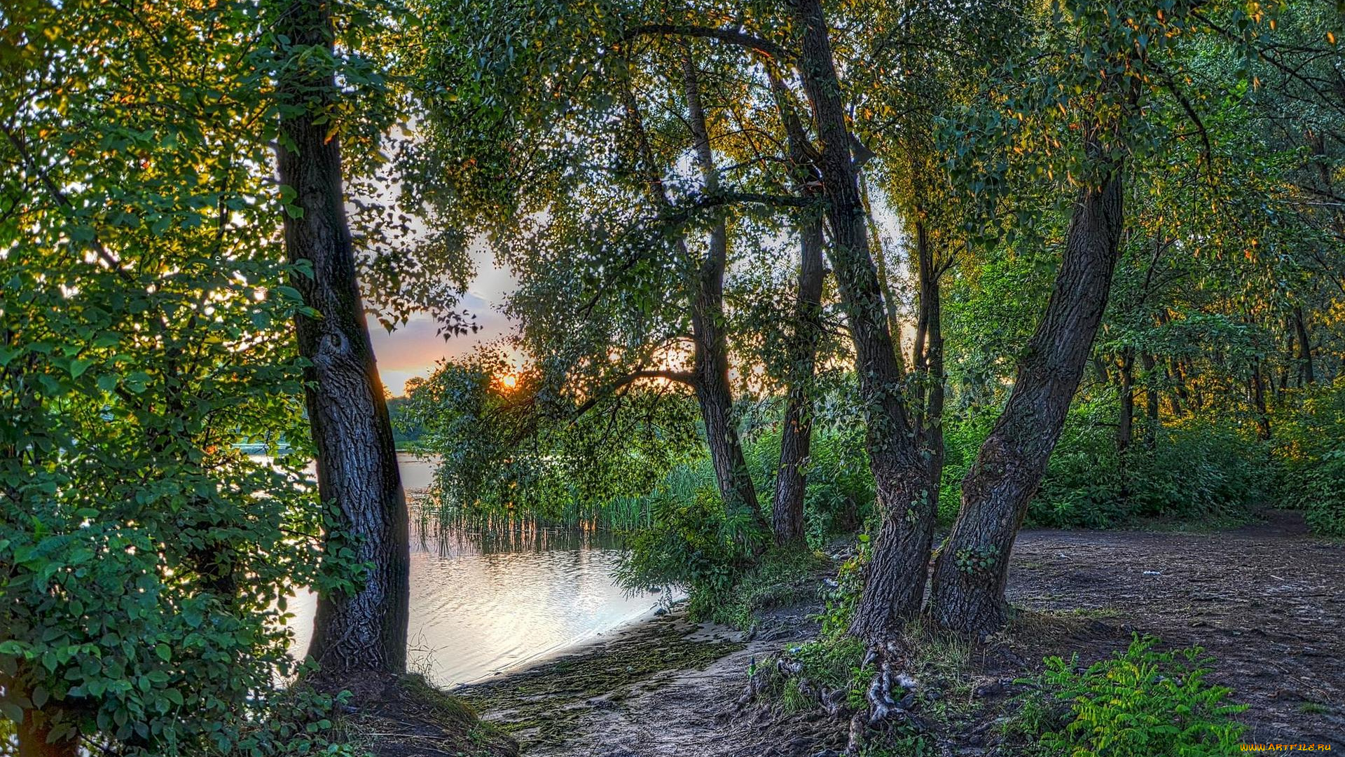 природа, реки, озера, заводь, закат, украина, киев, днепр