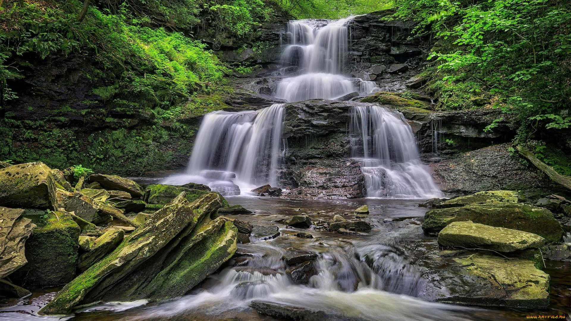 природа, водопады, ricketts, glen, state, park, риккетс, глен, стейт, pennsylvania