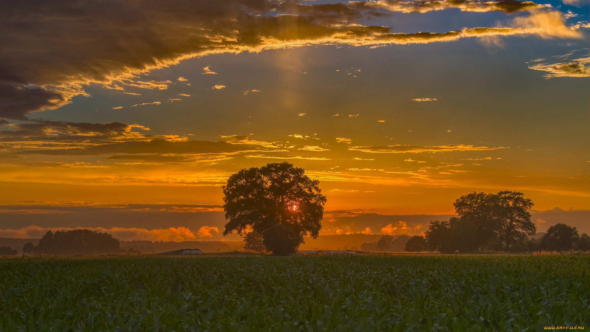 природа, восходы, закаты, простор