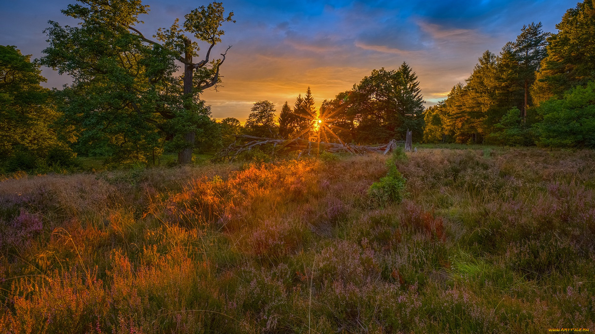 природа, восходы, закаты, простор