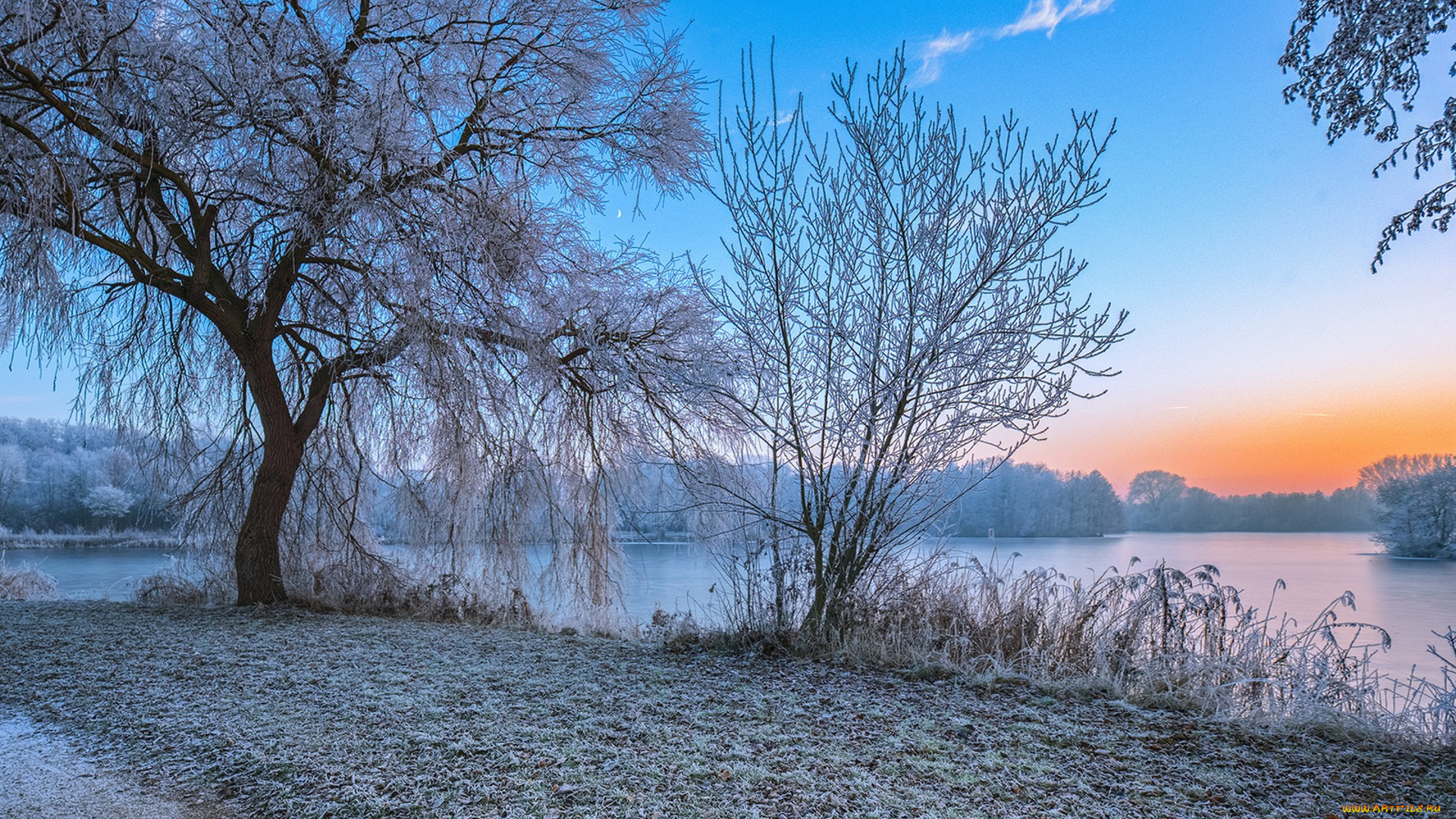 природа, зима, простор