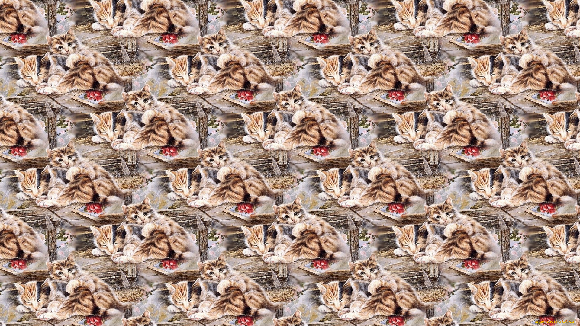 разное, текстуры, сон, текстура, котята, арт