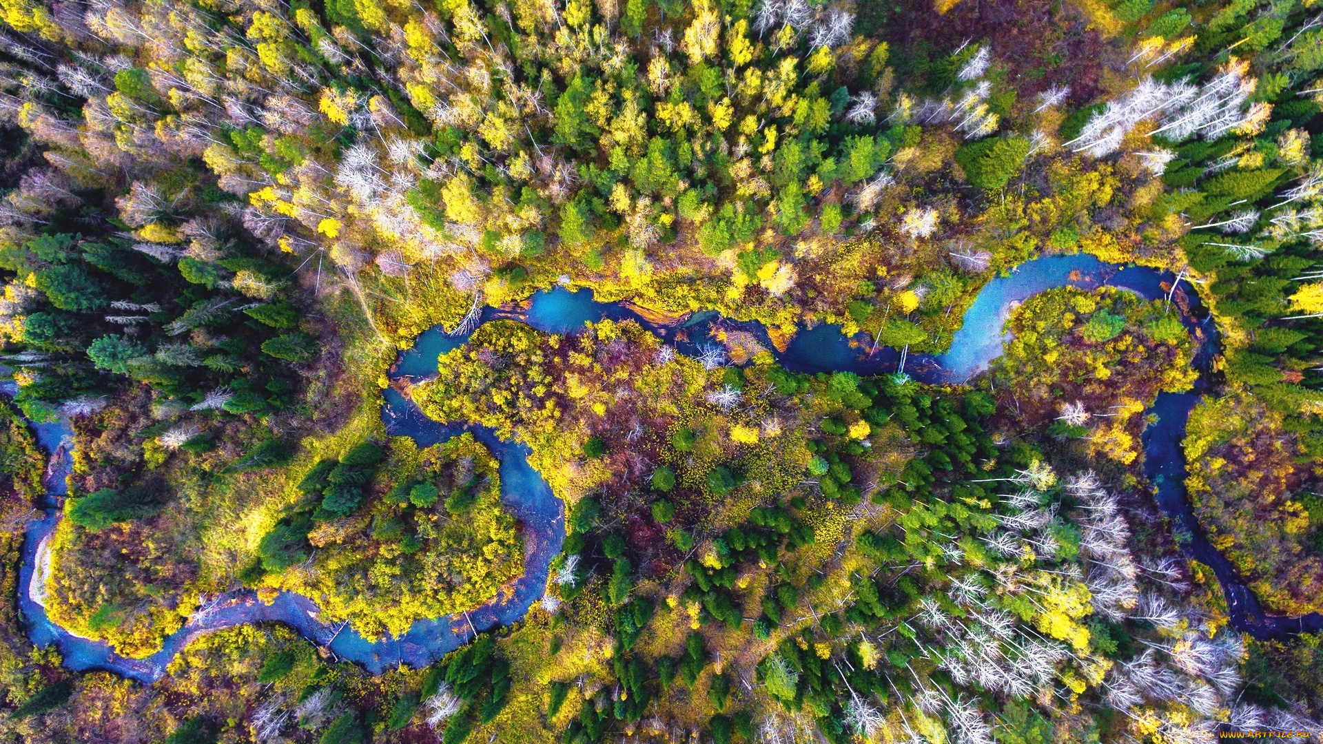 река, тугояковка, –, правый, приток, реки, томь, , ларинский, ландшафтный, заказник, , томская, область, природа, реки, озера, лес, панорама, река, осень