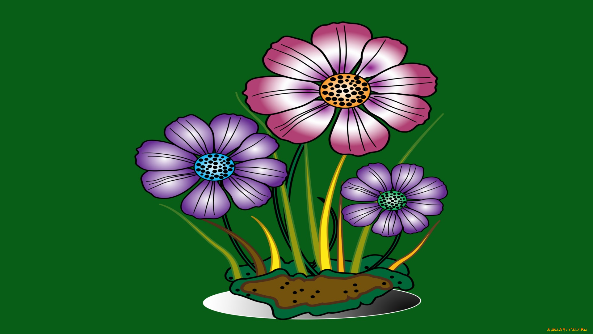 векторная, графика, цветы, , flowers, цветы, фон