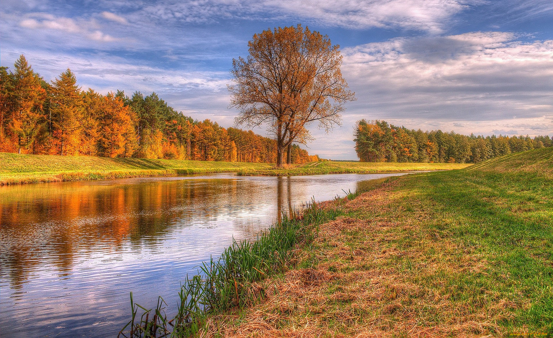 природа, реки, озера, простор