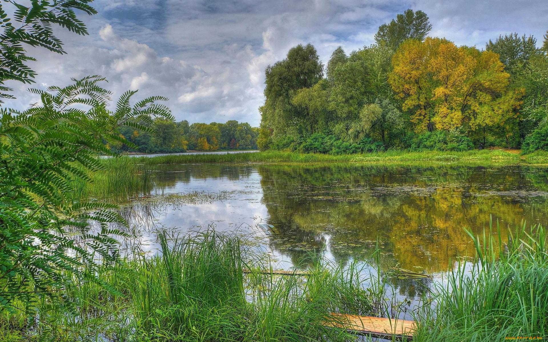 природа, реки, озера, днепр, заводь, закат, украина, киев