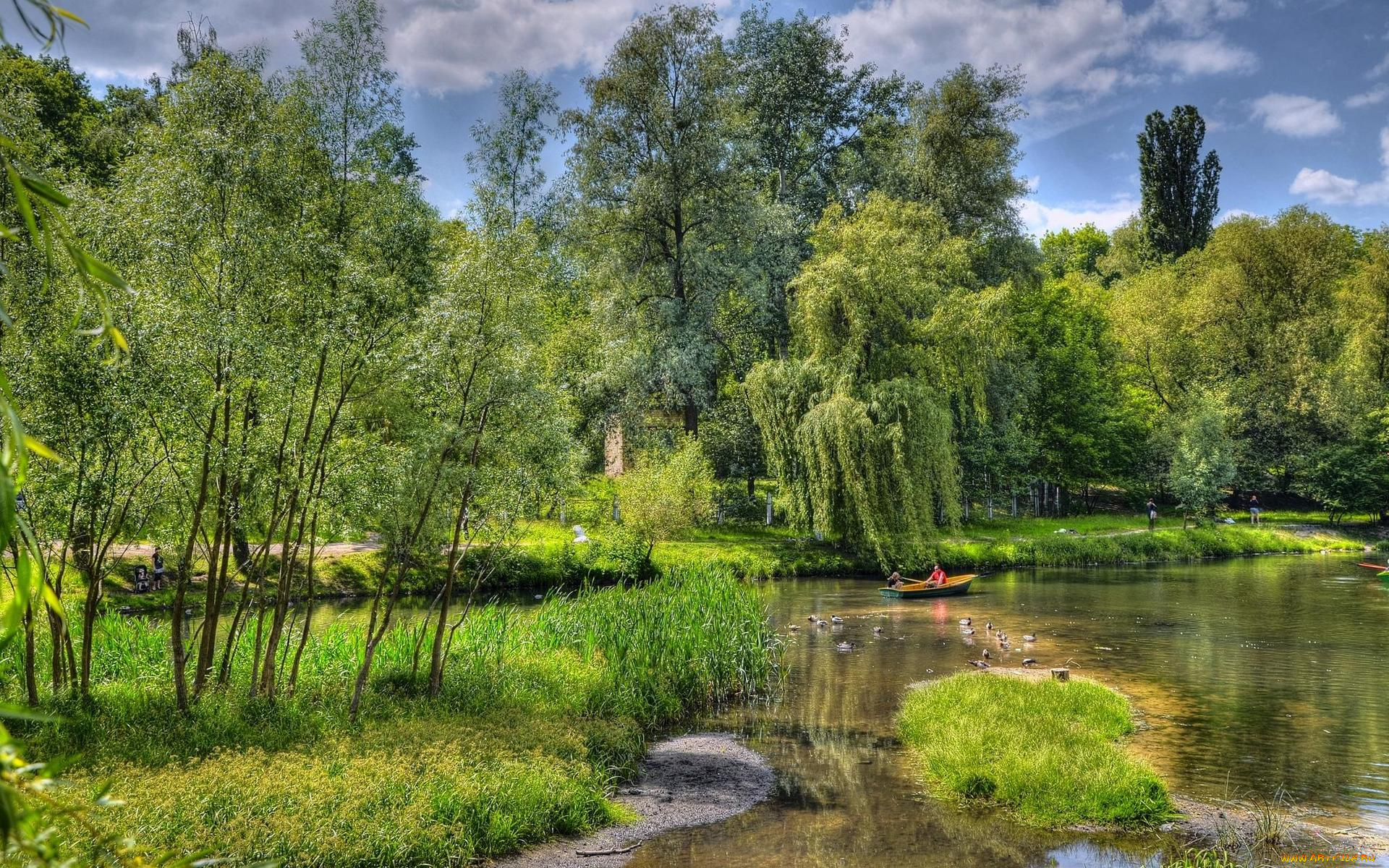 природа, реки, озера, украина, киев, заводь, днепр, закат