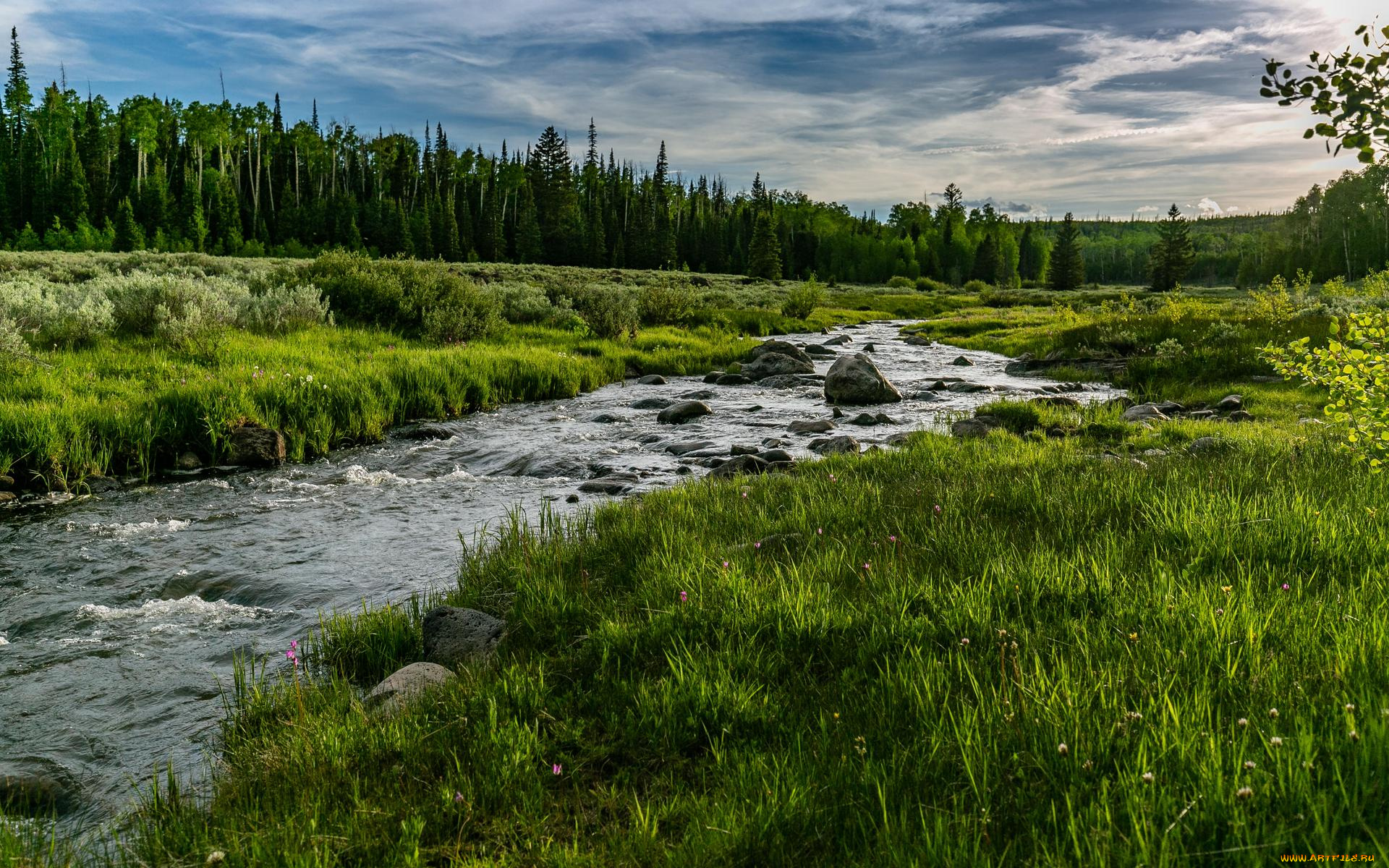 природа, реки, озера, закат, река, камни, поле, лес